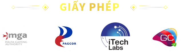 giấy phép s8