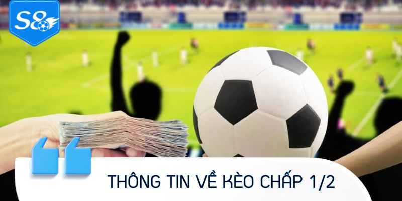 Đôi nét thông tin về kèo chấp 1/2