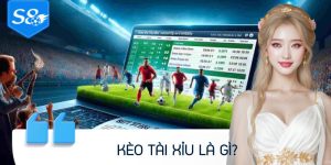 Kèo Tài Xỉu Là Gì? Hướng Dẫn Chi Tiết Cho Người Mới Bắt Đầu