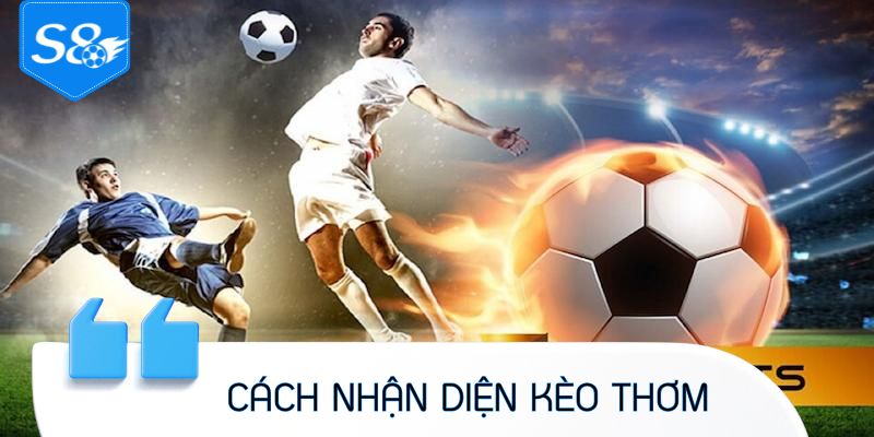 Nhận diện kèo thơm là gì? Hướng dẫn và ví dụ thực tế