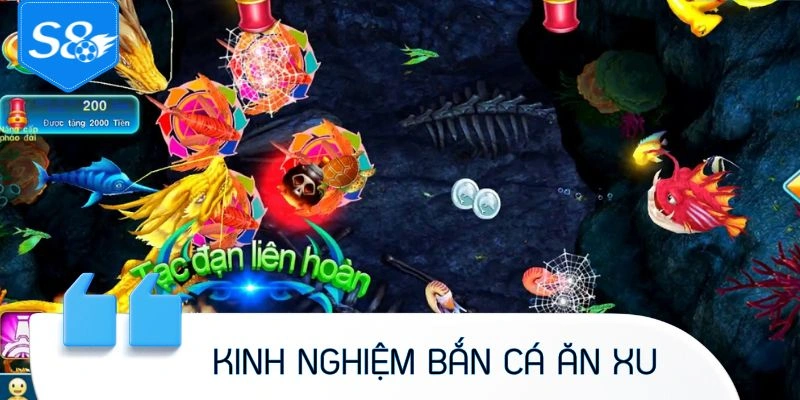 Kinh nghiệm săn sinh vật nhận xu hiệu quả