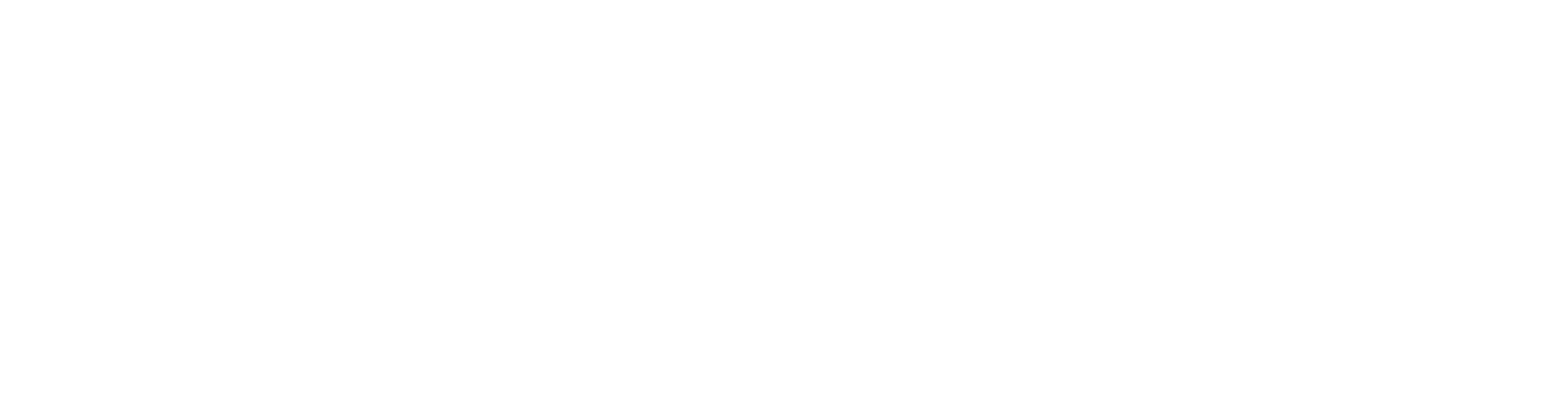 s8-logo