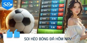 Soi Kèo Bóng Đá Hôm Nay Cùng S8: Cập Nhật Liên Tục, Chính Xác